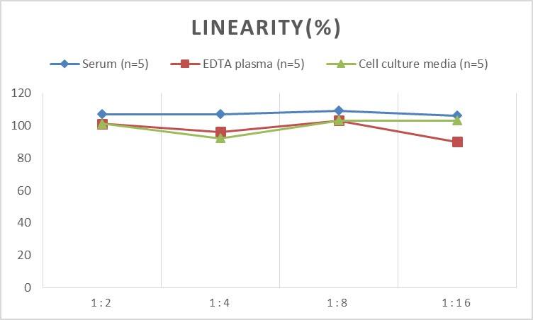 Human Fascin ELISA Kit (Chemiluminescence)