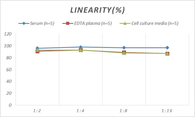 Human Fascin ELISA Kit (Colorimetric)