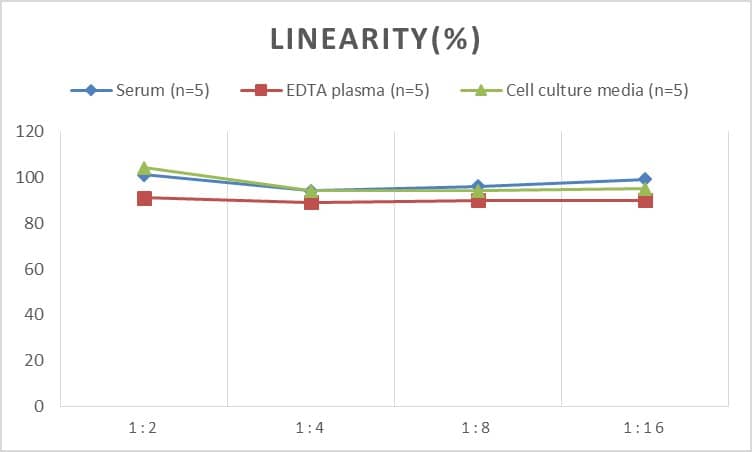 Mouse Fascin ELISA Kit (Colorimetric)