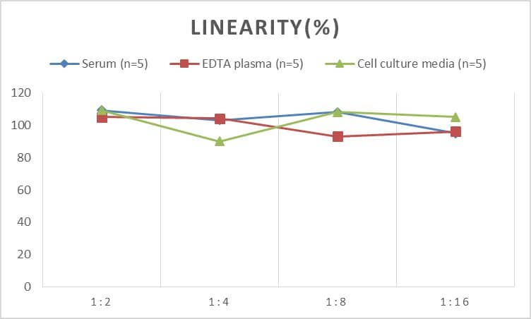 Human Versican ELISA Kit (Chemiluminescence)