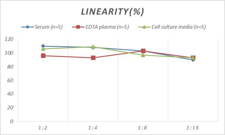 Human p53 ELISA Kit (Chemiluminescence)