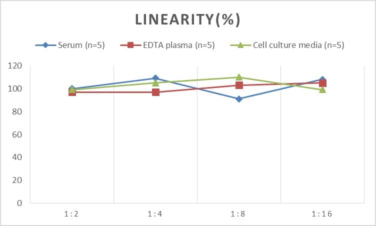 Mouse p53 ELISA Kit (Chemiluminescence)