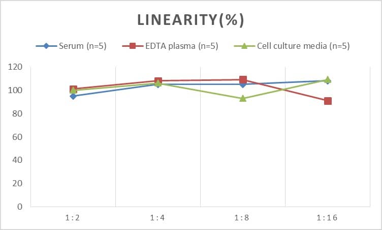 Rat p53 ELISA Kit (Chemiluminescence)