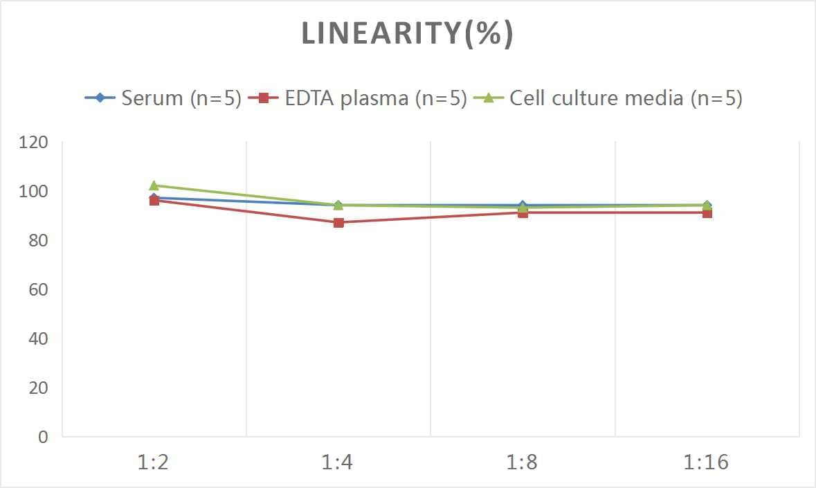 Mouse p53 ELISA Kit (Colorimetric)