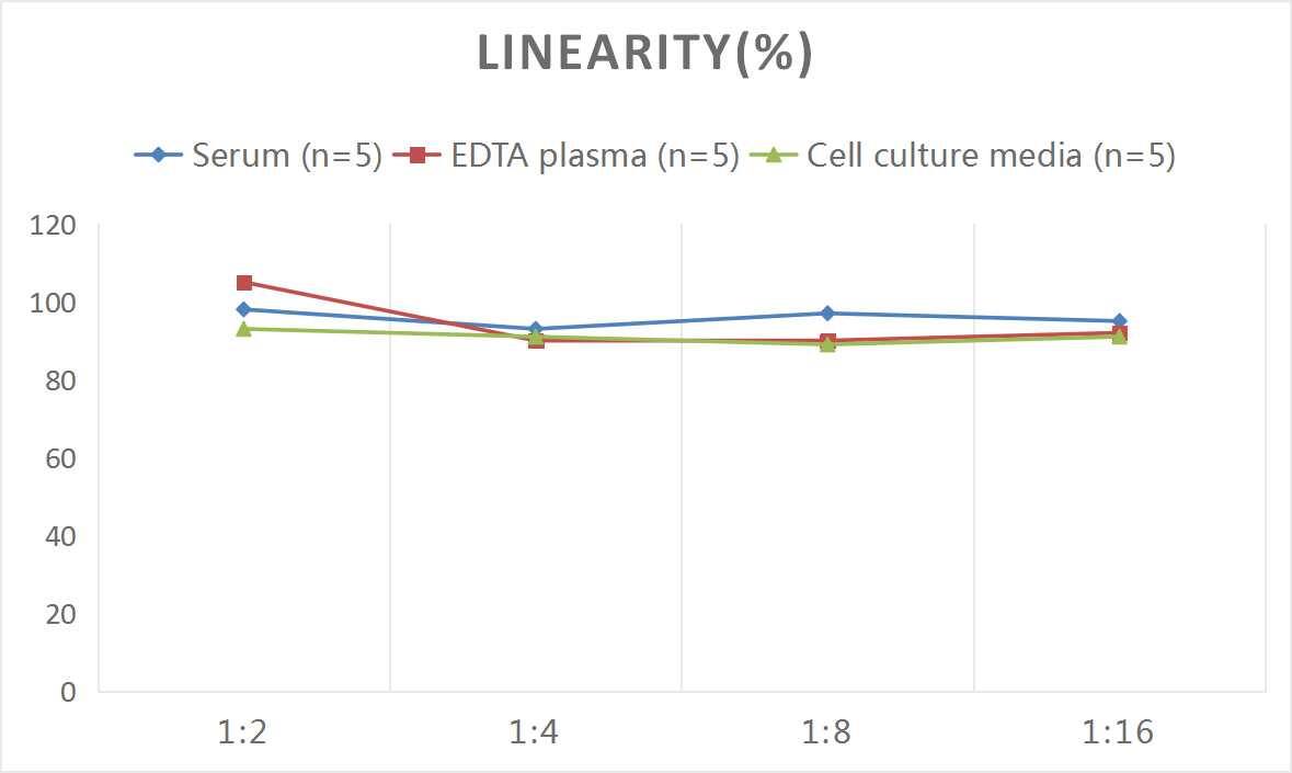 Rat p53 ELISA Kit (Colorimetric)