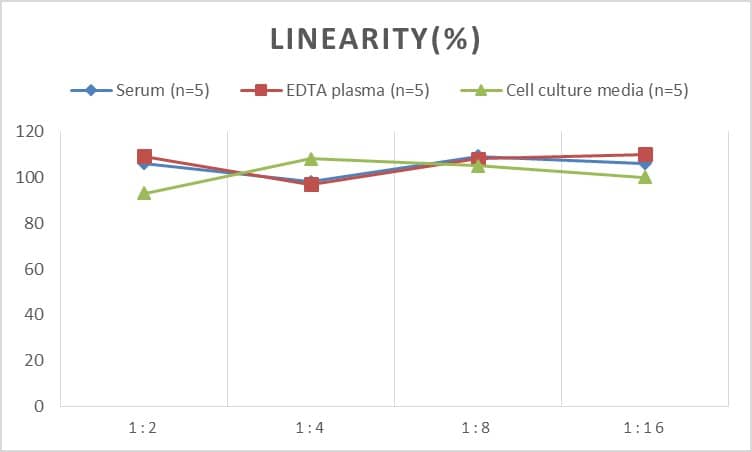 Human Tankyrase 1 ELISA Kit (Chemiluminescence)