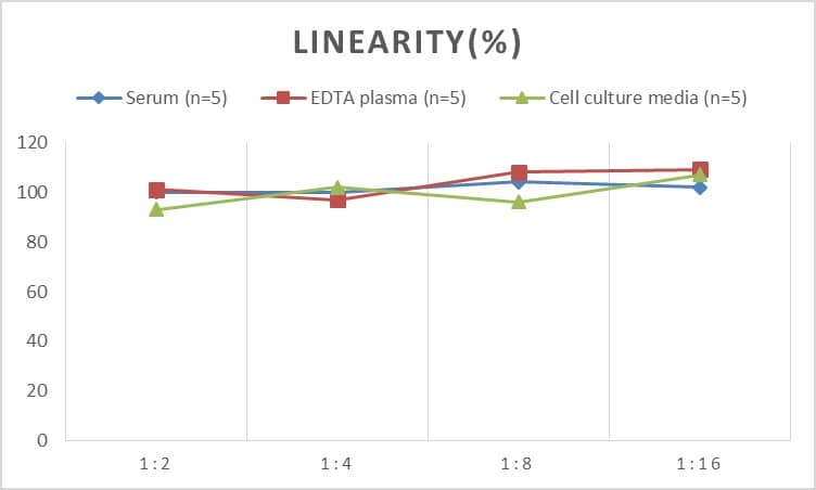 Human Gremlin 1 ELISA Kit (Chemiluminescence)