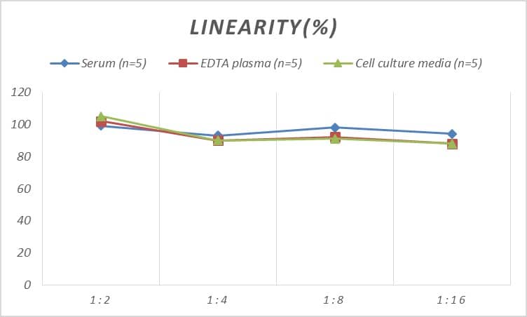 Rat Gremlin 1 ELISA Kit (Colorimetric)