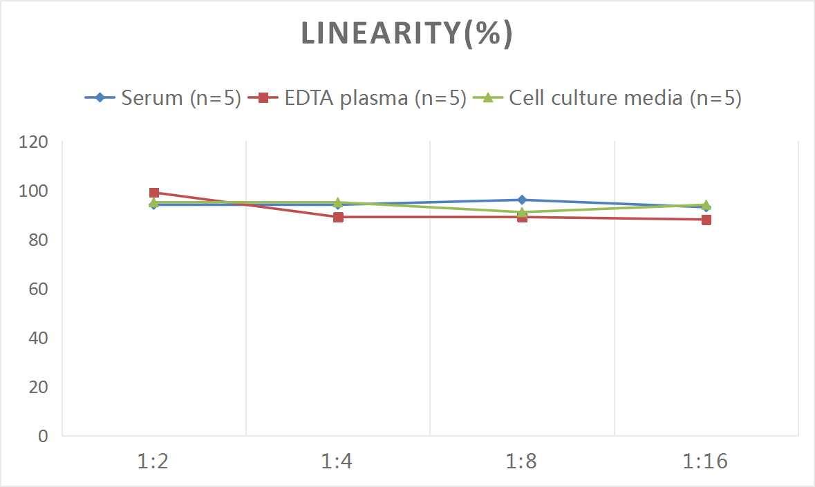 Human SCUBE3 ELISA Kit (Colorimetric)