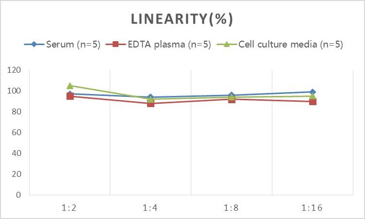 Rat CXCL12/SDF-1 alpha ELISA Kit (Colorimetric)