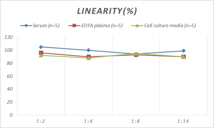 Mouse SDF2 ELISA Kit (Colorimetric)