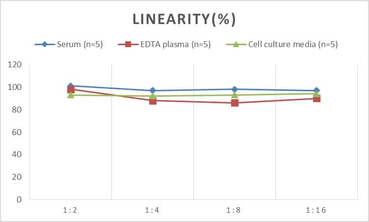 Rat SDF2 ELISA Kit (Colorimetric)