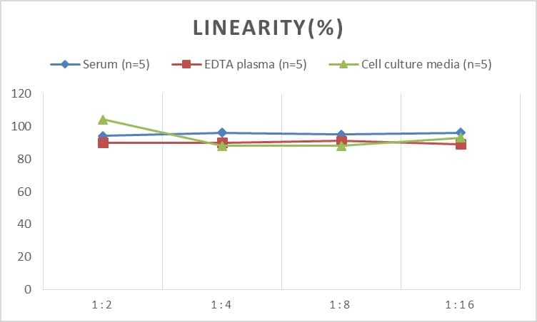 Human SDF2 ELISA Kit (Colorimetric)