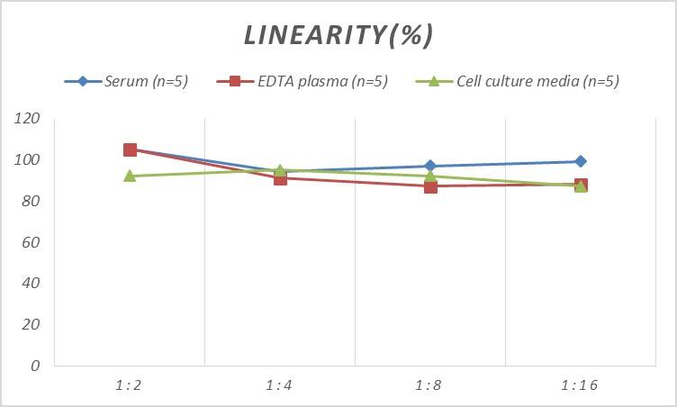 Human SDF2L1 ELISA Kit (Colorimetric)