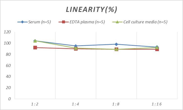 Rat SDF2L1 ELISA Kit (Colorimetric)