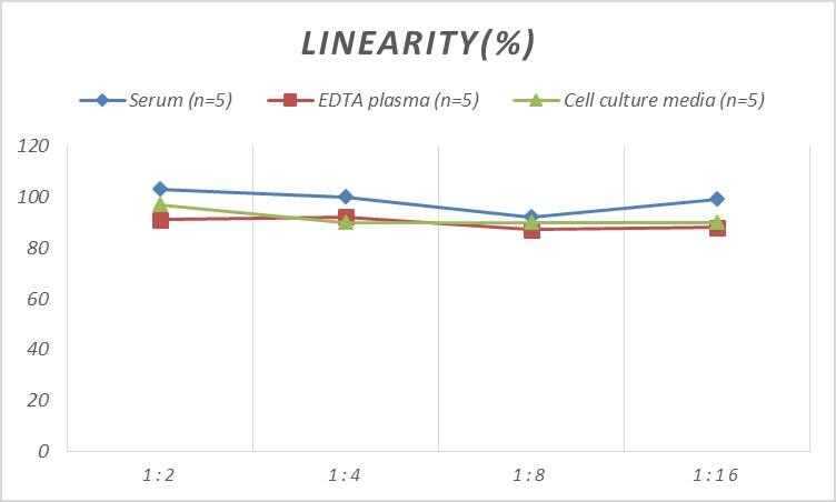 Rat Clusterin/APOJ ELISA Kit (Colorimetric)