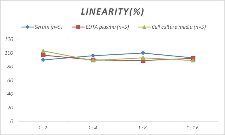 Rat Myosin light chain 3 ELISA Kit (Colorimetric)