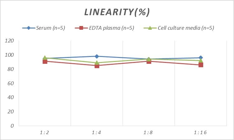 Rat c-Myc ELISA Kit (Colorimetric)