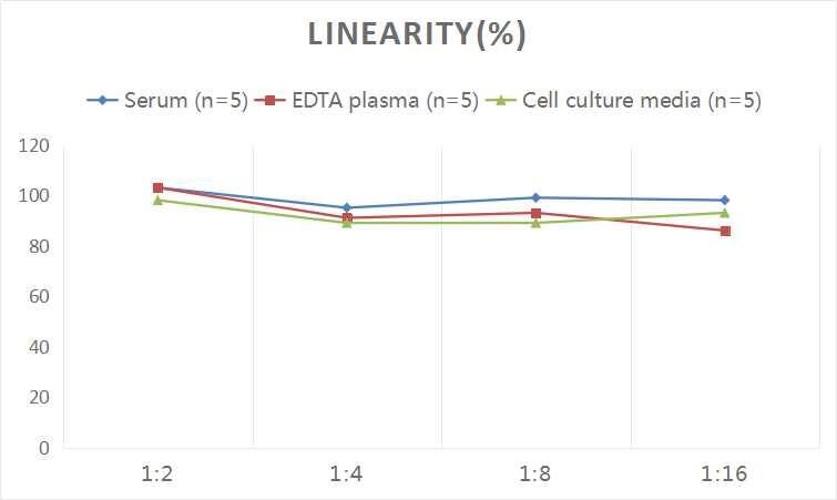 Human Calponin 1 ELISA Kit (Colorimetric)