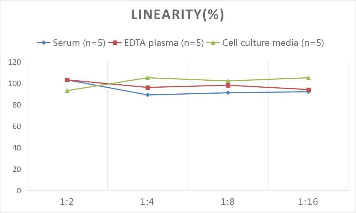 Rat CNP/NPPC ELISA Kit (Colorimetric)