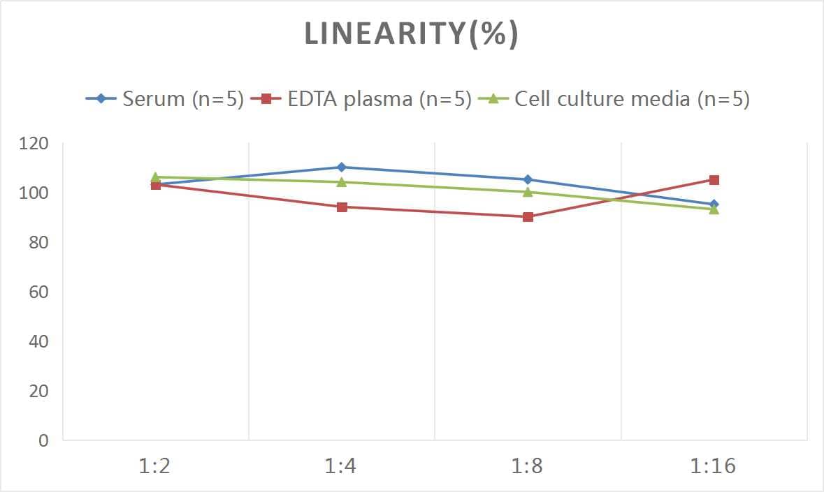 Mouse CNTF ELISA Kit (Chemiluminescence)