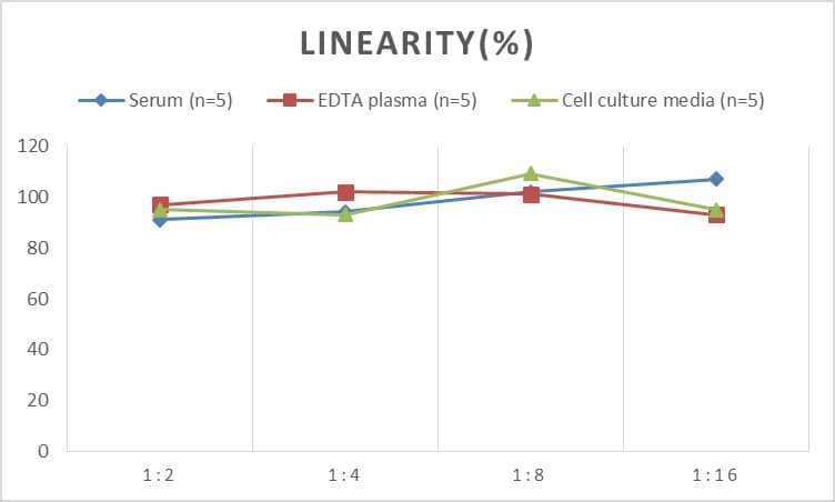 Mouse Collagen Type I ELISA Kit (Chemiluminescence)
