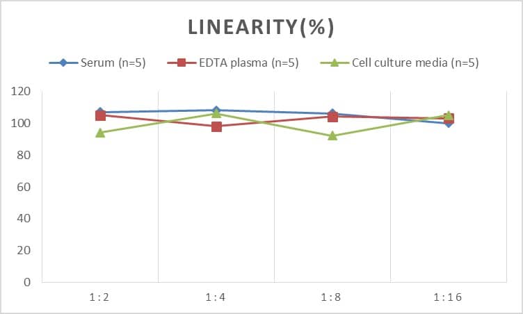 Human Collagen XIII alpha 1 ELISA Kit (Chemiluminescence)