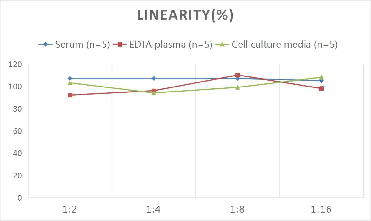 Human COL14A1 ELISA Kit (Chemiluminescence)