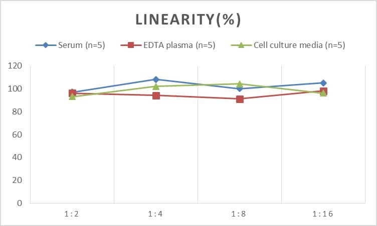 Human COL15A1 ELISA Kit (Chemiluminescence)