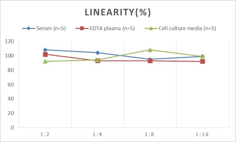 Human Collagen XVII ELISA Kit (Chemiluminescence)