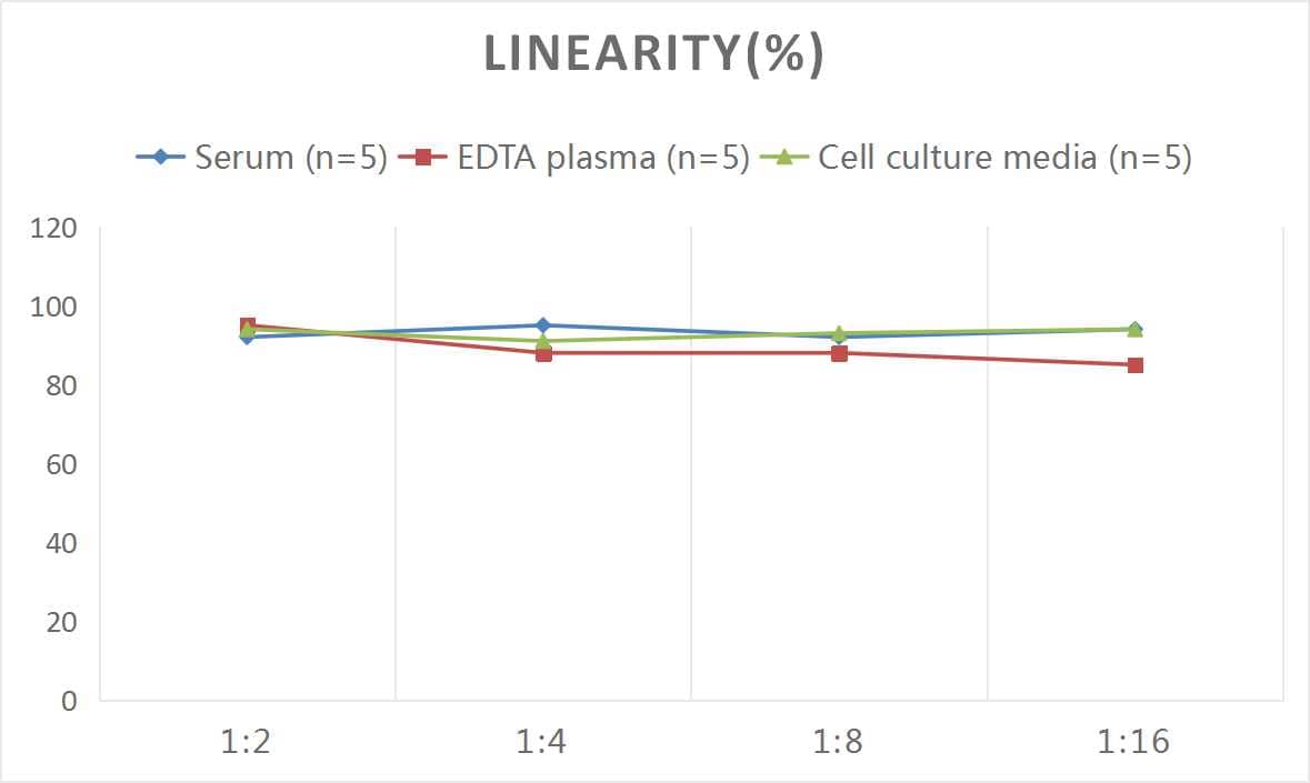 Human Endostatin ELISA Kit (Colorimetric)