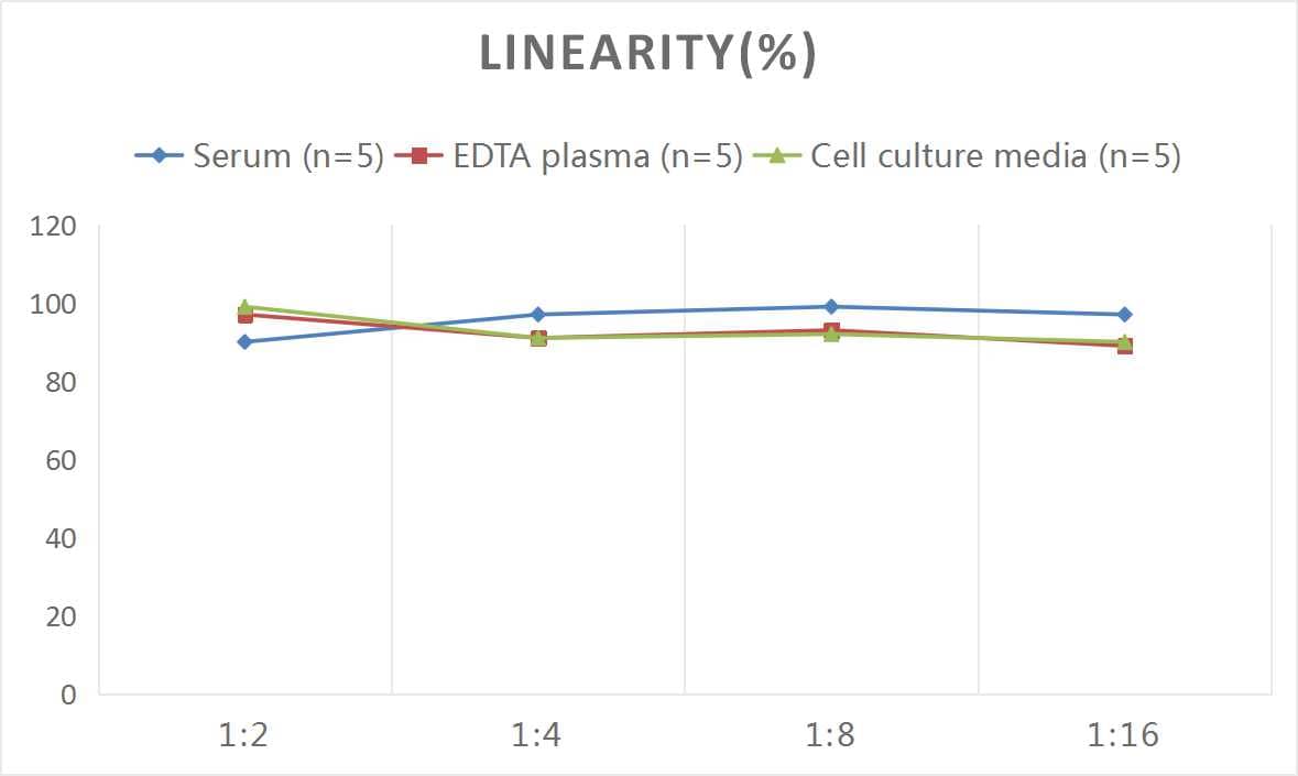 Rat Collagen I alpha 1 ELISA Kit (Colorimetric)