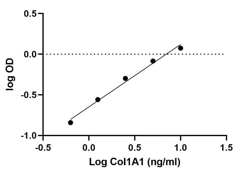 Rat Collagen I alpha 1 ELISA Kit (Colorimetric)