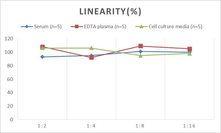 Human COL1A2 ELISA Kit (Chemiluminescence)