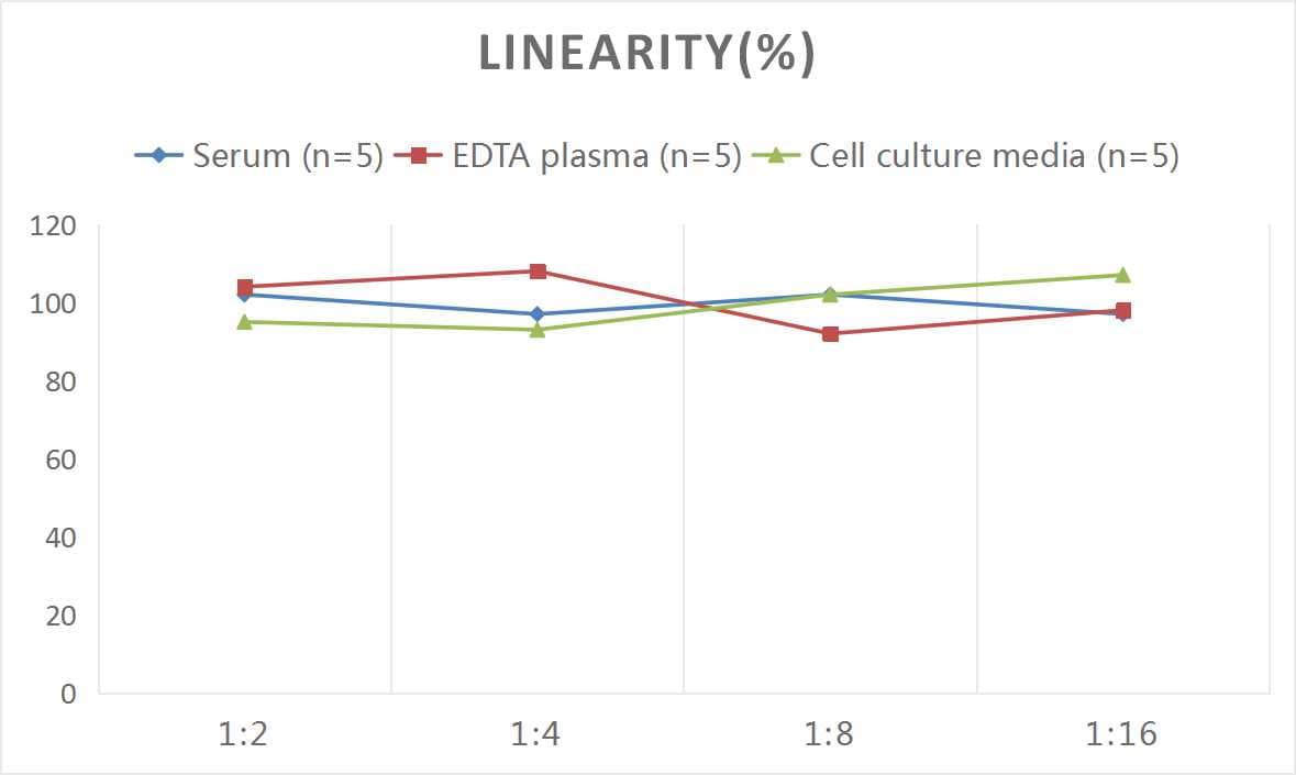 Mouse COL1A2 ELISA Kit (Chemiluminescence)