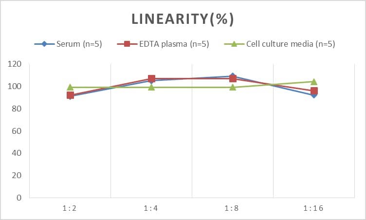 Rat COL1A2 ELISA Kit (Chemiluminescence)