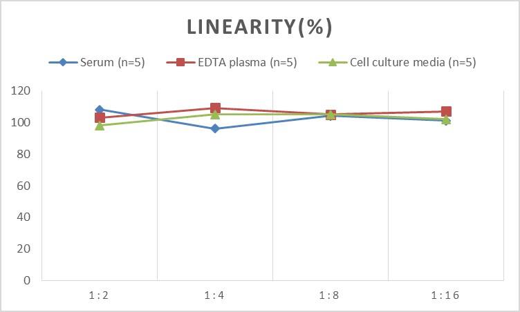 Mouse Collagen II ELISA Kit (Chemiluminescence)