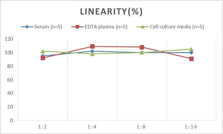 Rat Collagen II ELISA Kit (Chemiluminescence)