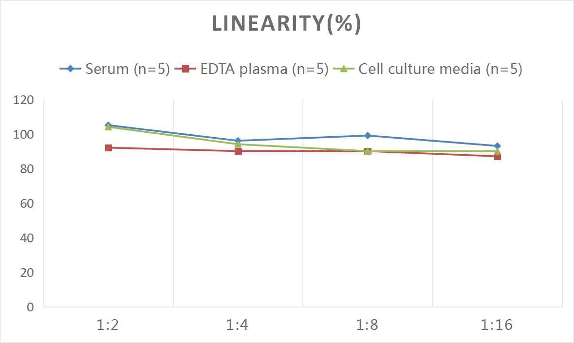 Rat Collagen II ELISA Kit (Colorimetric)