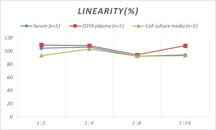 Human Collagen II ELISA Kit (Chemiluminescence)