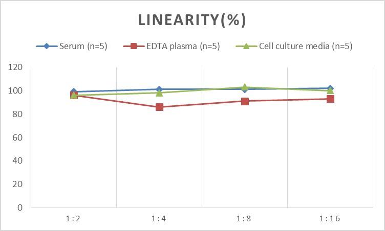 Rat Collagen II ELISA Kit (Colorimetric)