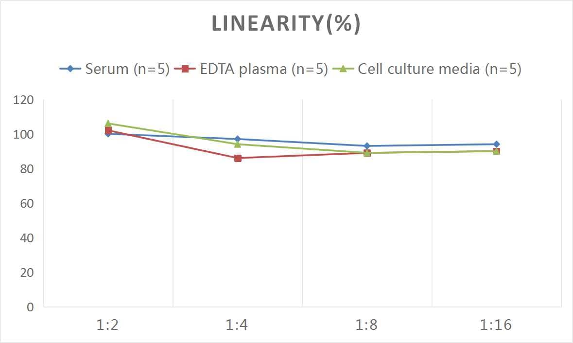 Mouse Collagen III ELISA Kit (Colorimetric)