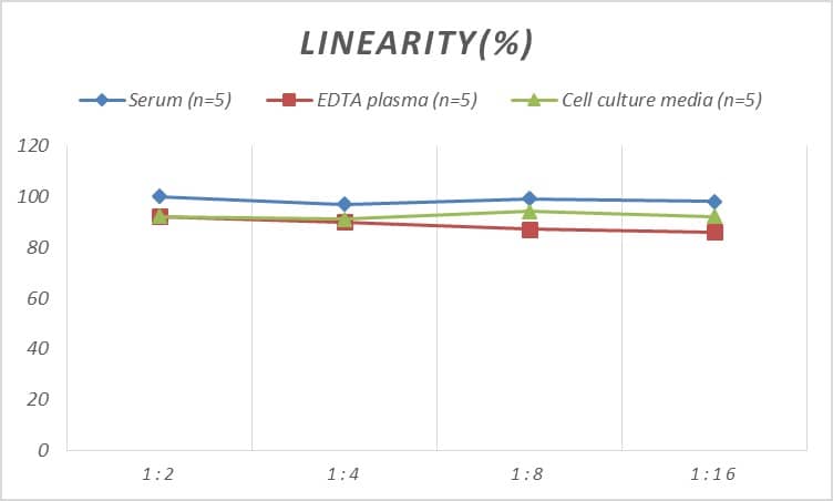 Rat Collagen III alpha 1/COL3A1 ELISA Kit (Colorimetric)