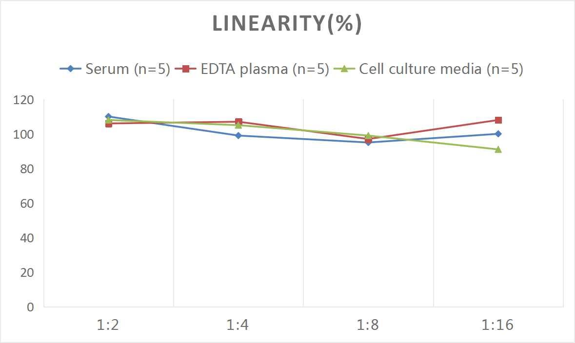 Human Collagen IV ELISA Kit (Chemiluminescence)