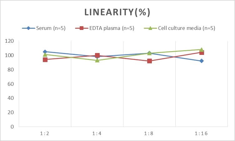 Mouse Collagen IV ELISA Kit (Chemiluminescence)