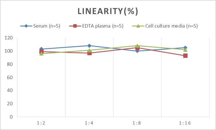 Rat Collagen IV ELISA Kit (Chemiluminescence)