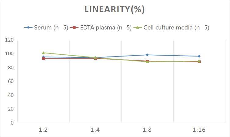 Human Collagen IV ELISA Kit (Colorimetric)