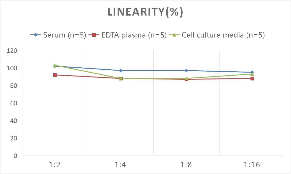 Mouse Collagen IV ELISA Kit (Colorimetric)