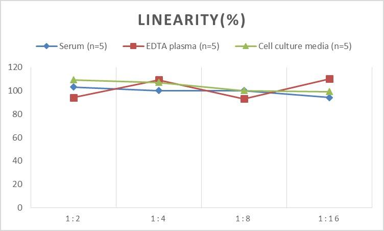 Human Collagen IV alpha 1 ELISA Kit (Chemiluminescence)