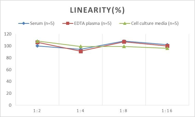 Rat Collagen IV alpha 1 ELISA Kit (Chemiluminescence)